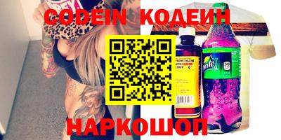 стафф Кингисепп