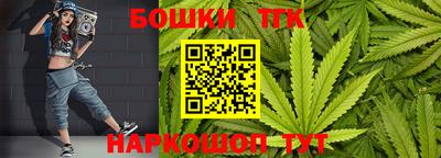 стафф Кингисепп