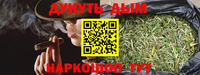 стафф Кингисепп