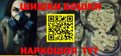 стафф Кингисепп