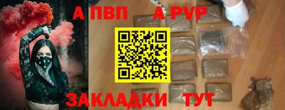 стафф Кингисепп