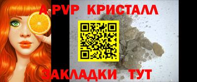 стафф Кингисепп
