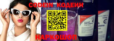 стафф Кингисепп