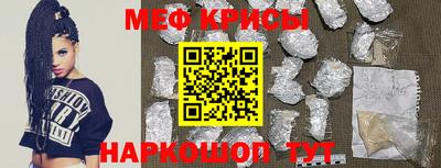 стафф Кингисепп